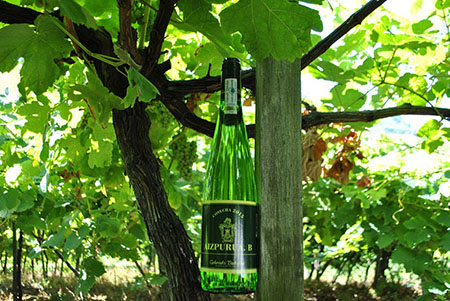 查克丽白葡萄酒（Txakoli）西班牙带给世界的清爽
