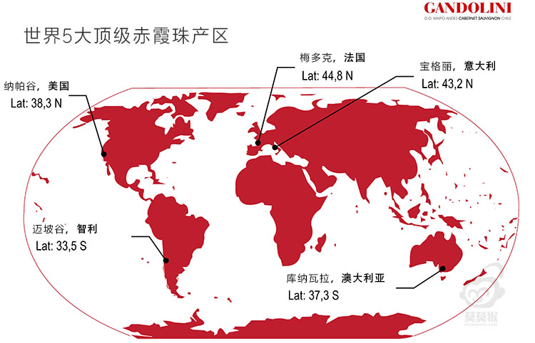 智利顶级赤霞珠葡萄酒品牌甘多里尼Gandolini