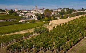 法国葡萄酒科学家提出了四种革命性超级葡萄品种