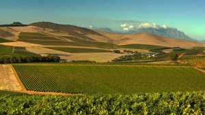 标价 1.8 亿兰特!南非 300 年历史酒庄公开出售 标价 1.8 亿兰特!南非 300 年历史酒庄公开出售