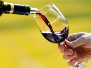 全球消费低迷，智利葡萄酒行业深陷亏损困局